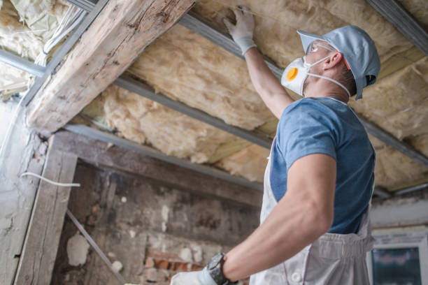 Types of Insulation We Offer in River Road, WA