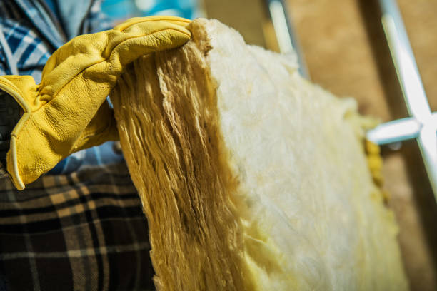 Best Eco-Friendly Insulation in River Road, WA
