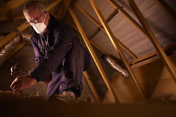 Best Insulation Maintenance and Repair in River Road, WA
