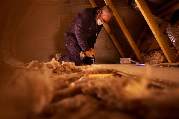Best Specialized Insulation Services in River Road, WA